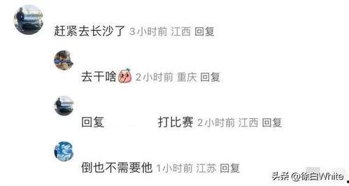 网红吃瓜最新爆料,揭秘娱乐圈惊天大秘密！  第1张